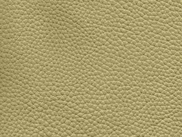 Leather Upholstery 厚面皮革系列 皮革 沙發皮革 2253 卡其色